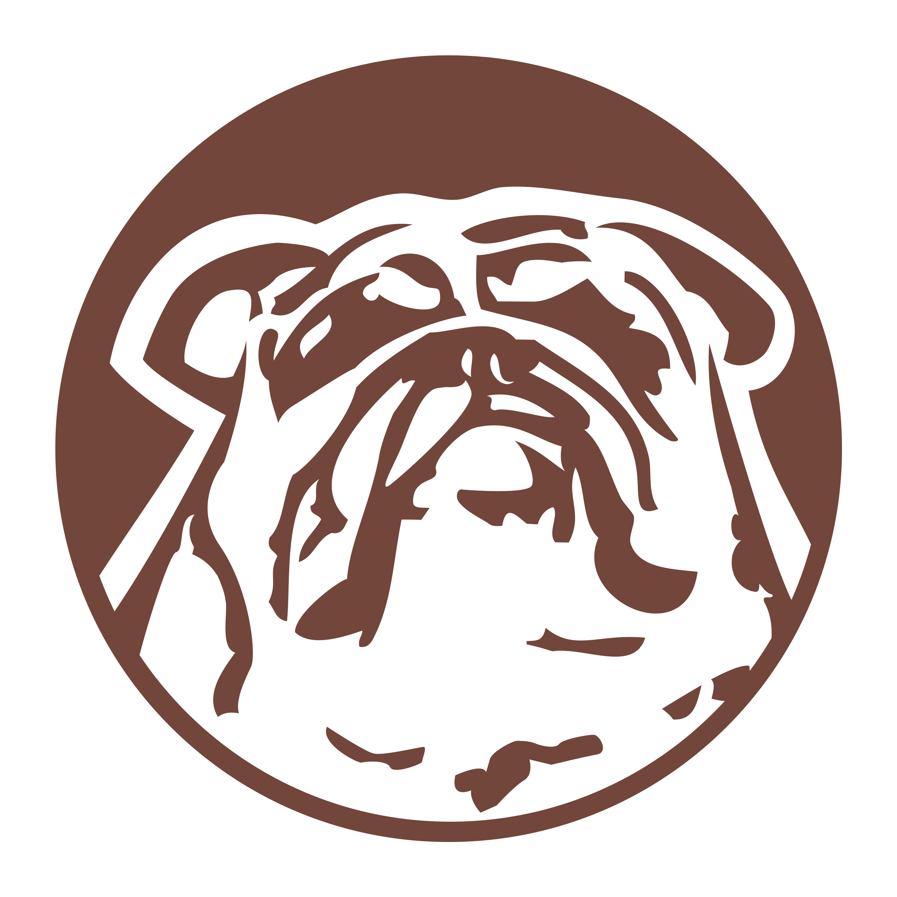 Snatch. The Bulldog at the Heart of CODOS.