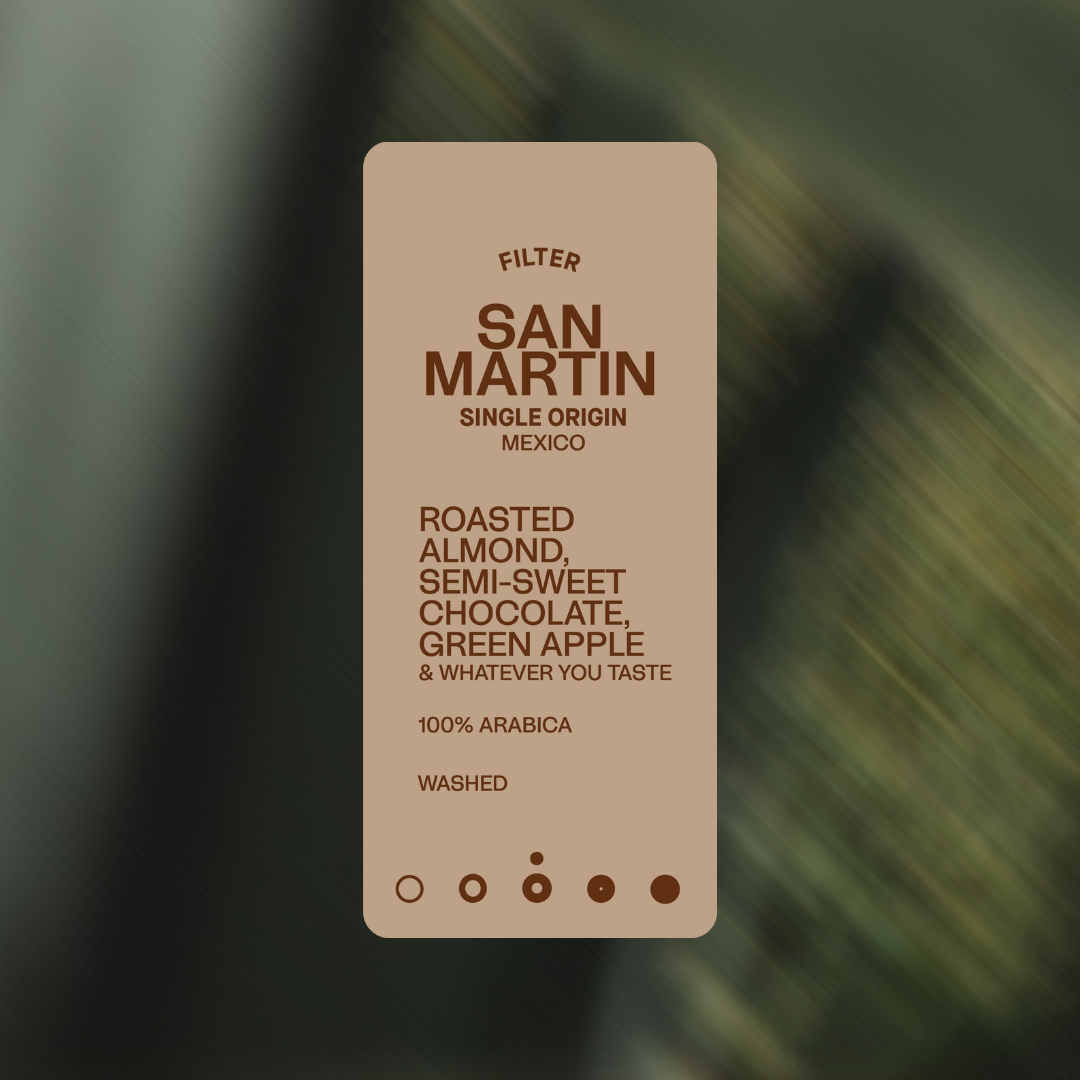 SAN MARTIN - Filter - B2B