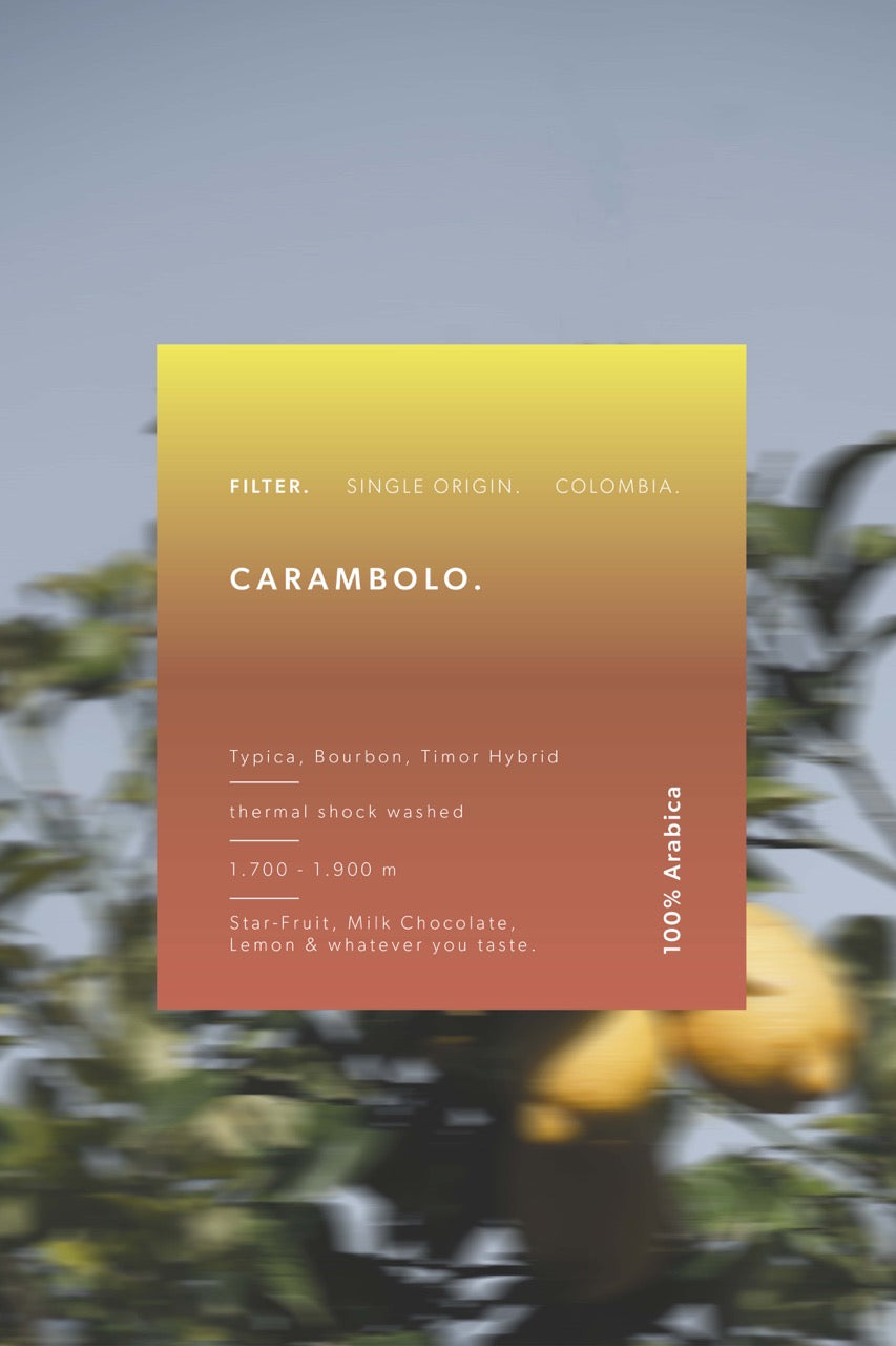 CARAMBOLO - Filter - B2B