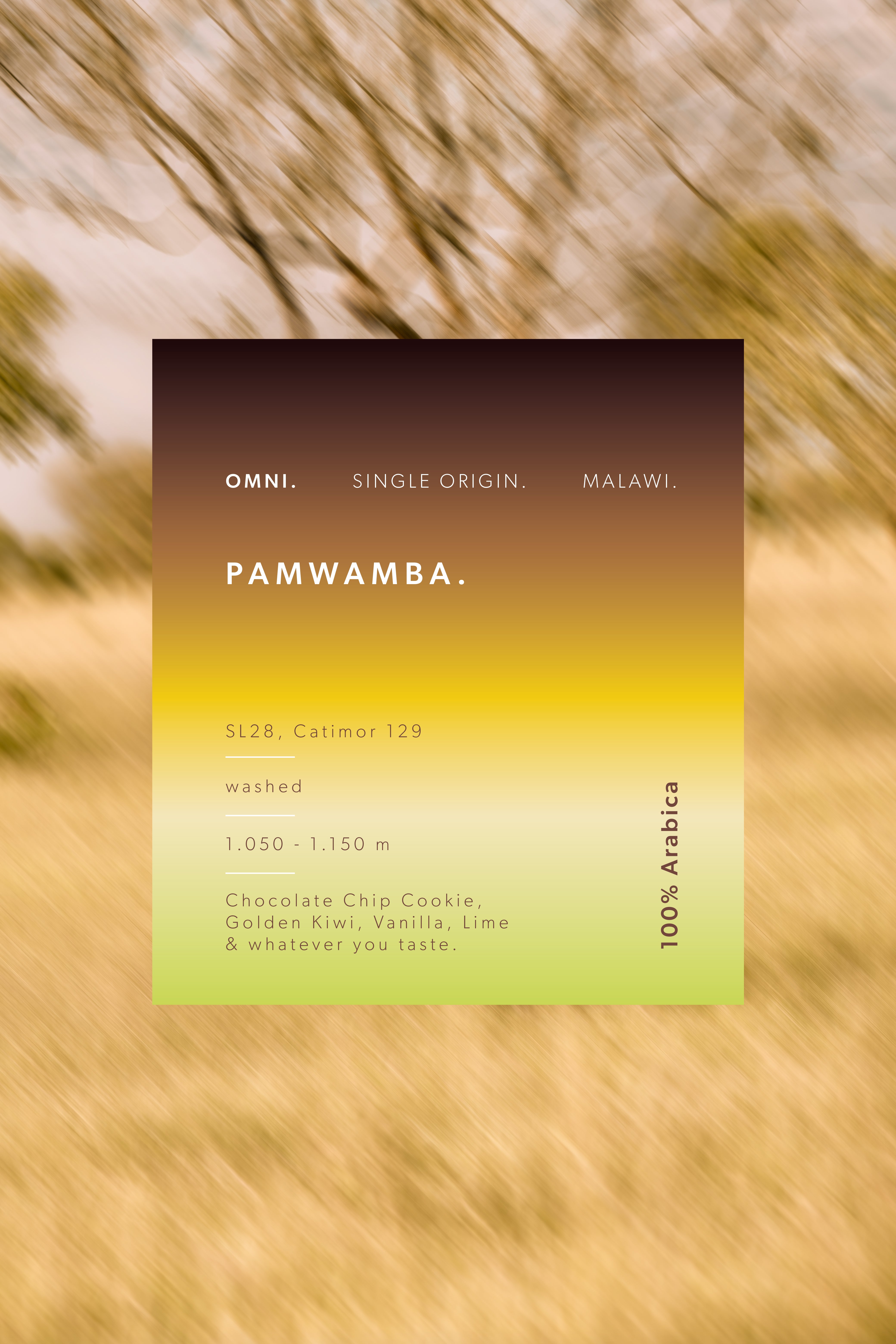 PAMWAMBA - Omni