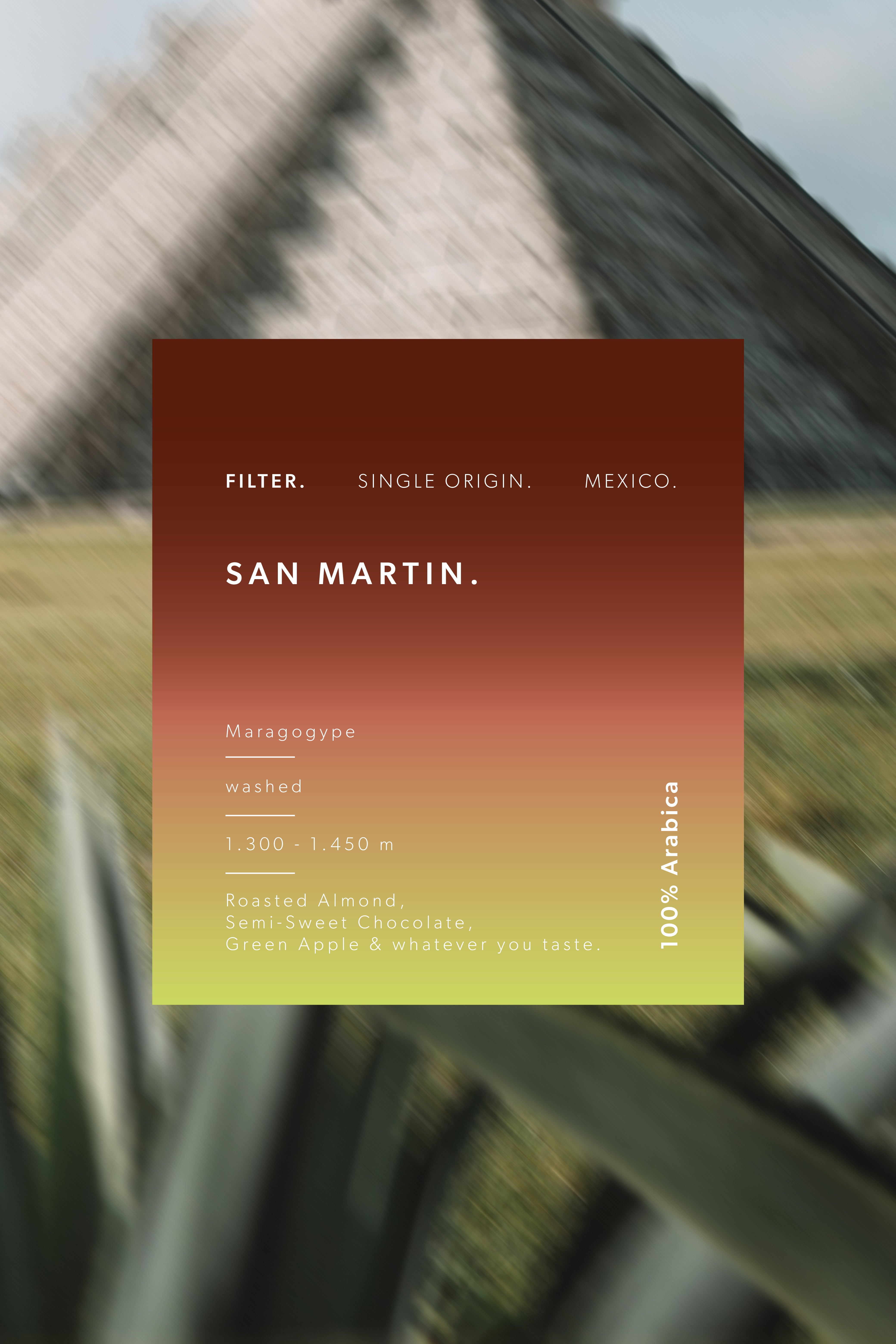 SAN MARTIN - Filter