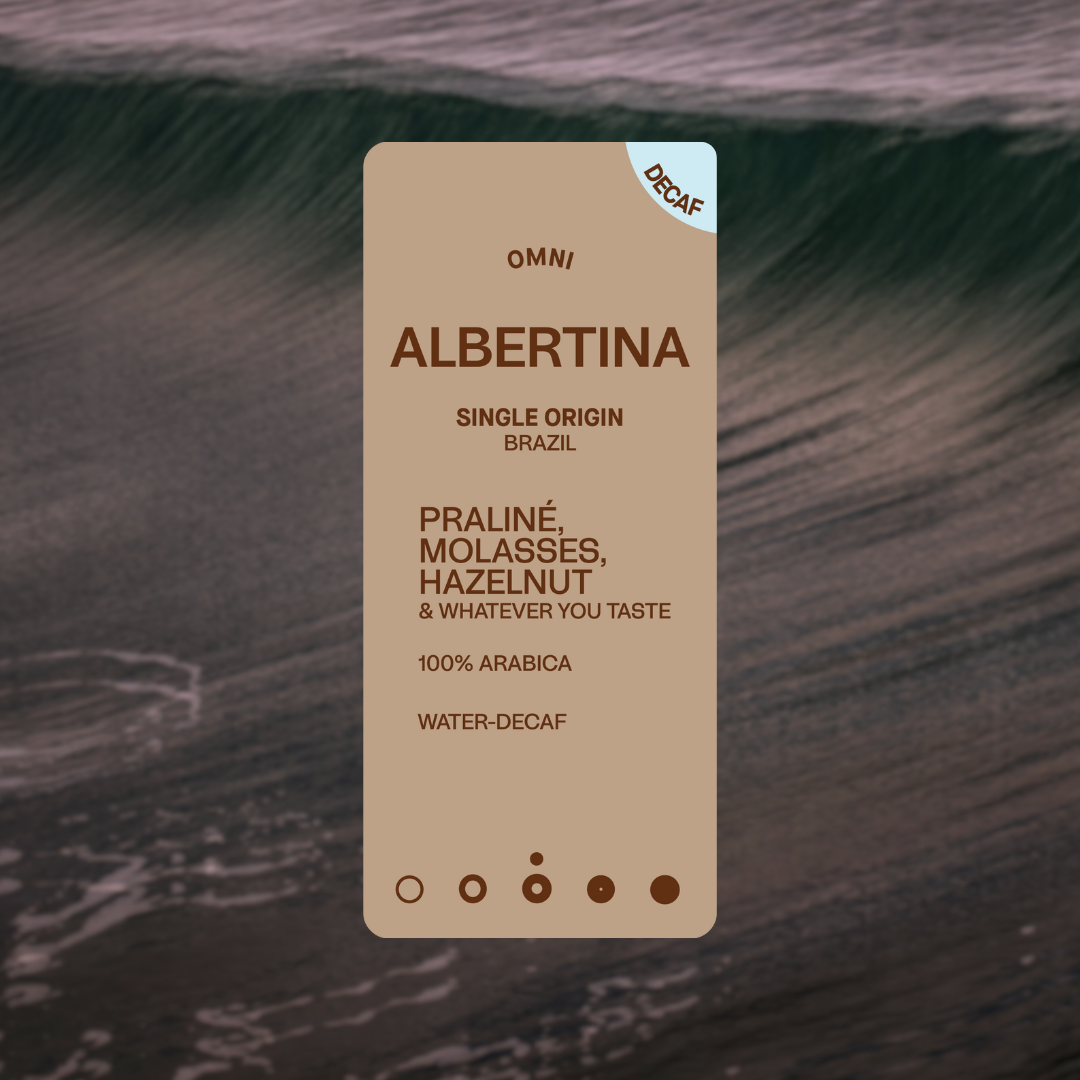 ALBERTINA - Decaf - B2B