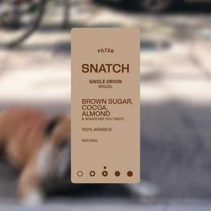 SNATCH - House Filter