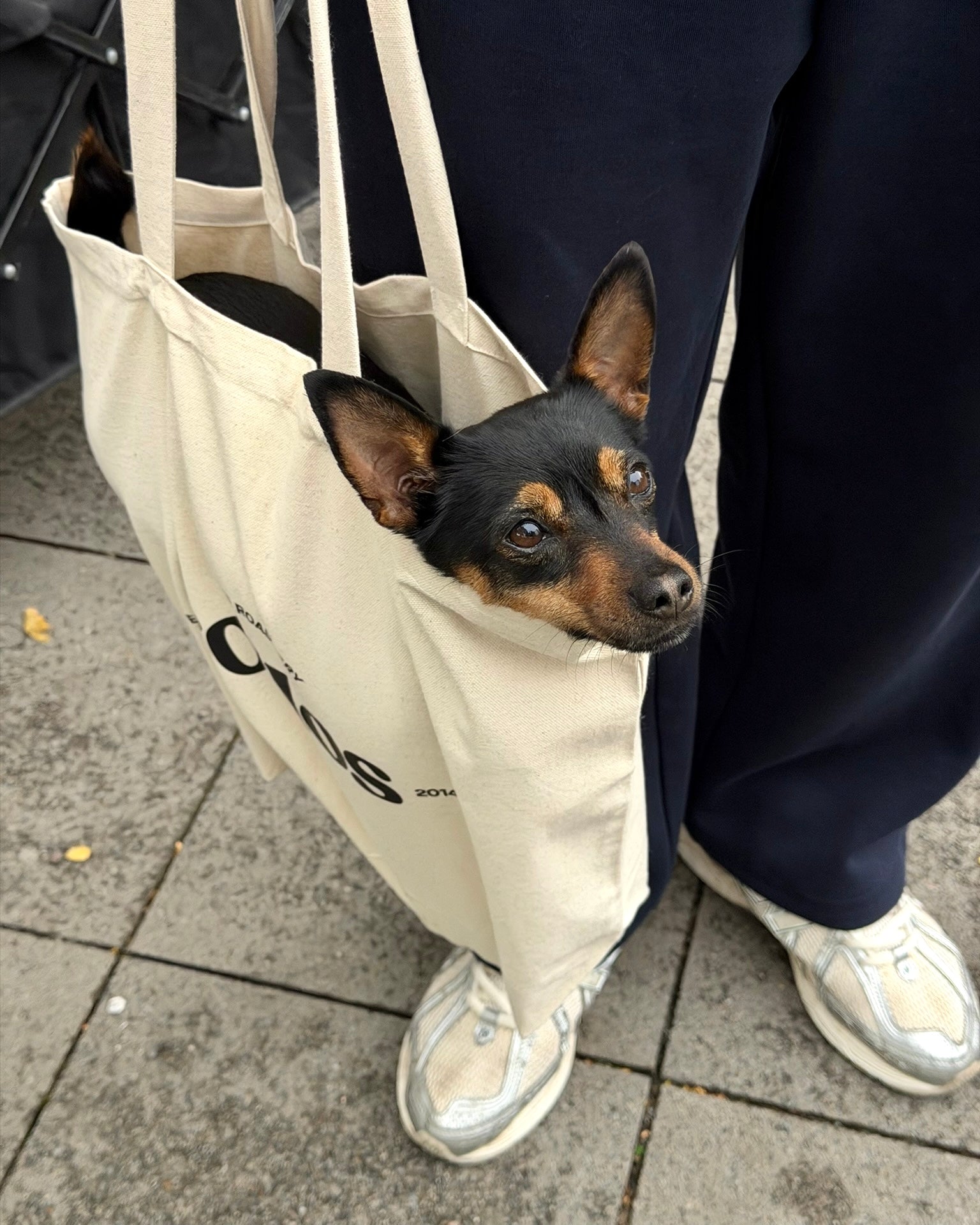 Fuelled by Coffee Tote Outside with a small dog inside