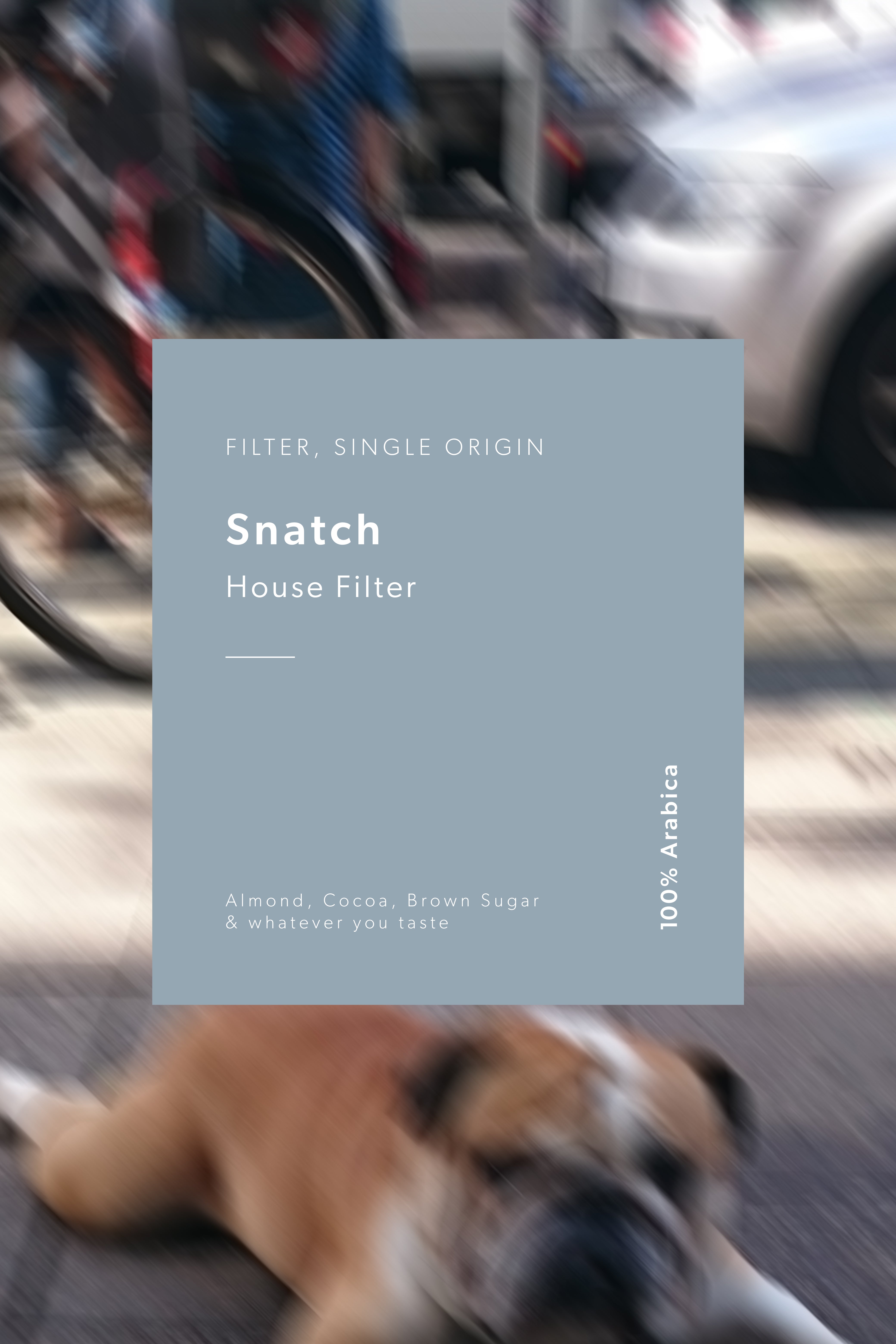 SNATCH - House Filter