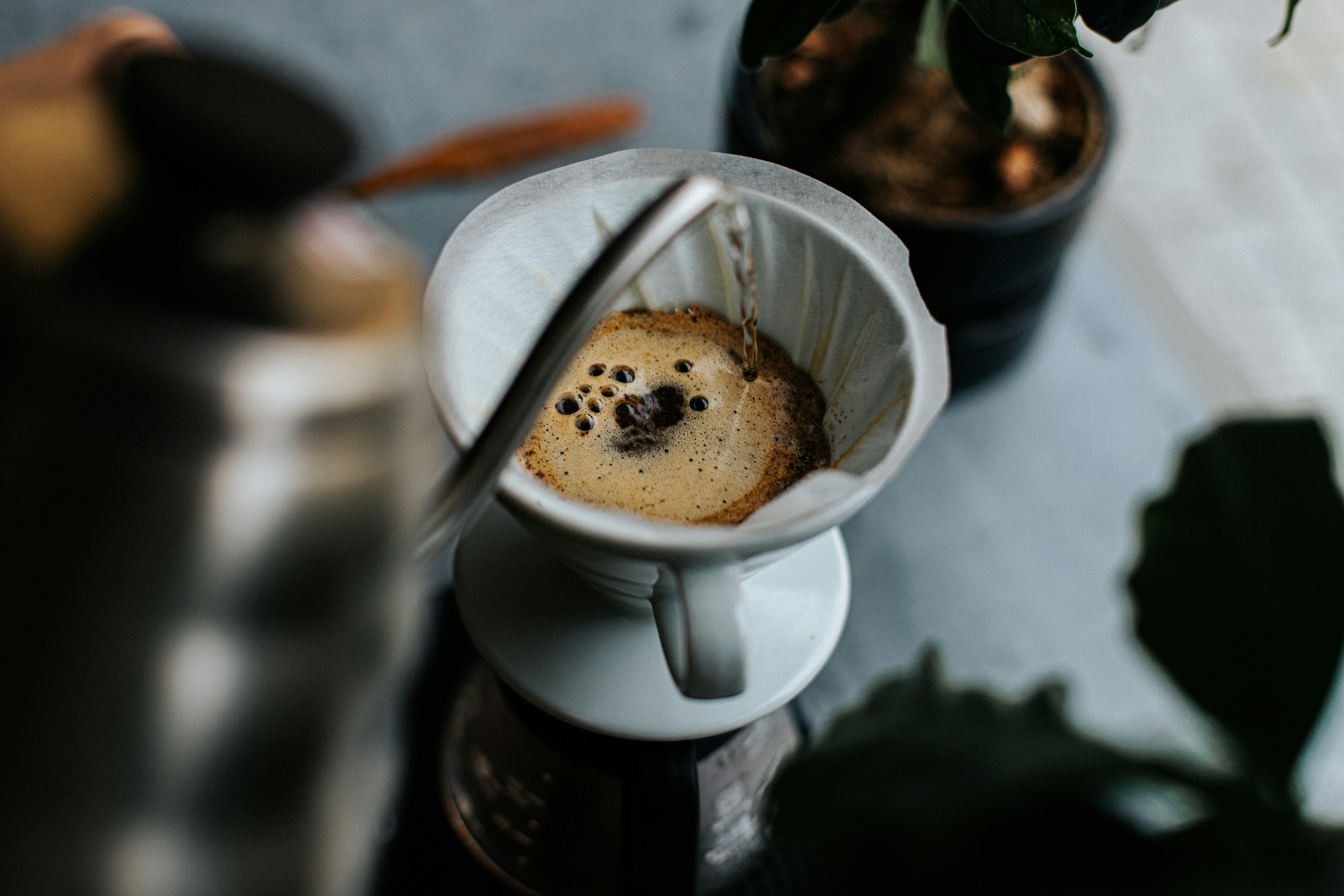 DULCE - Decaf
