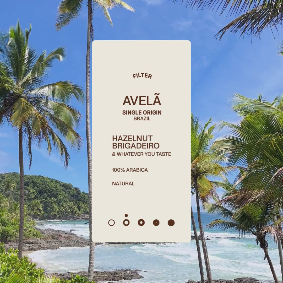 Avela Sticker with a beach background