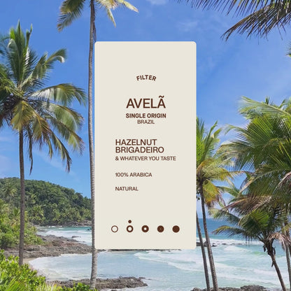 Avela Sticker with a beach background